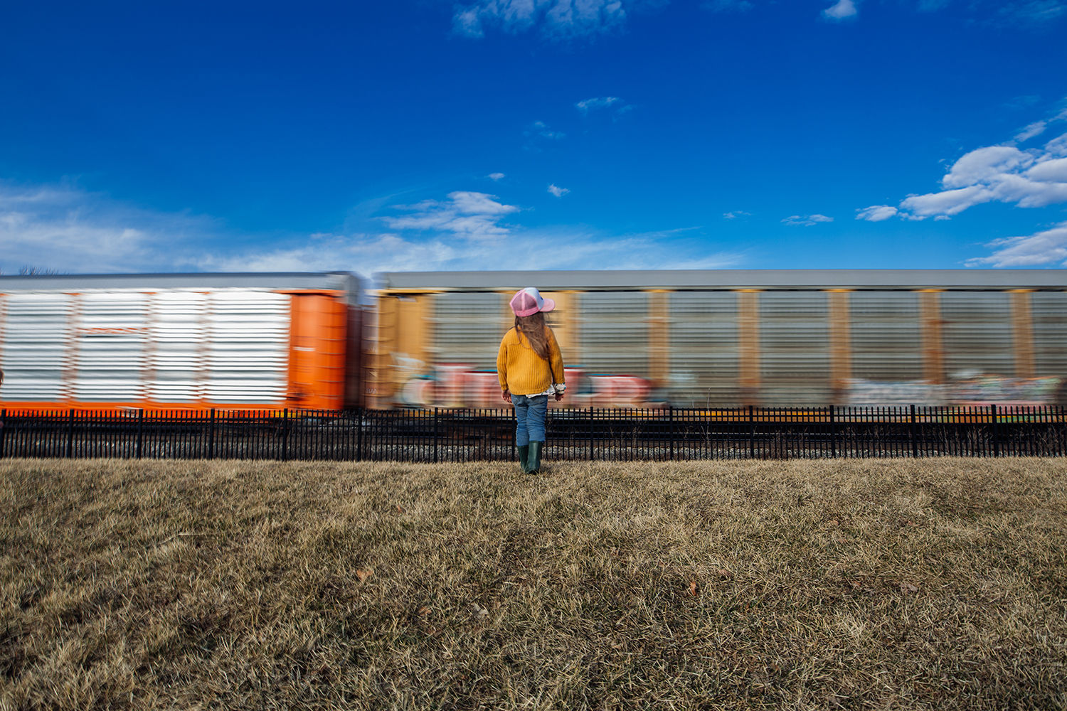 Train Panning